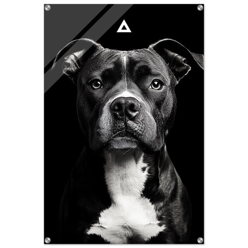 06c89097-ea3a-48d6-b5e1-e1b412ecb588