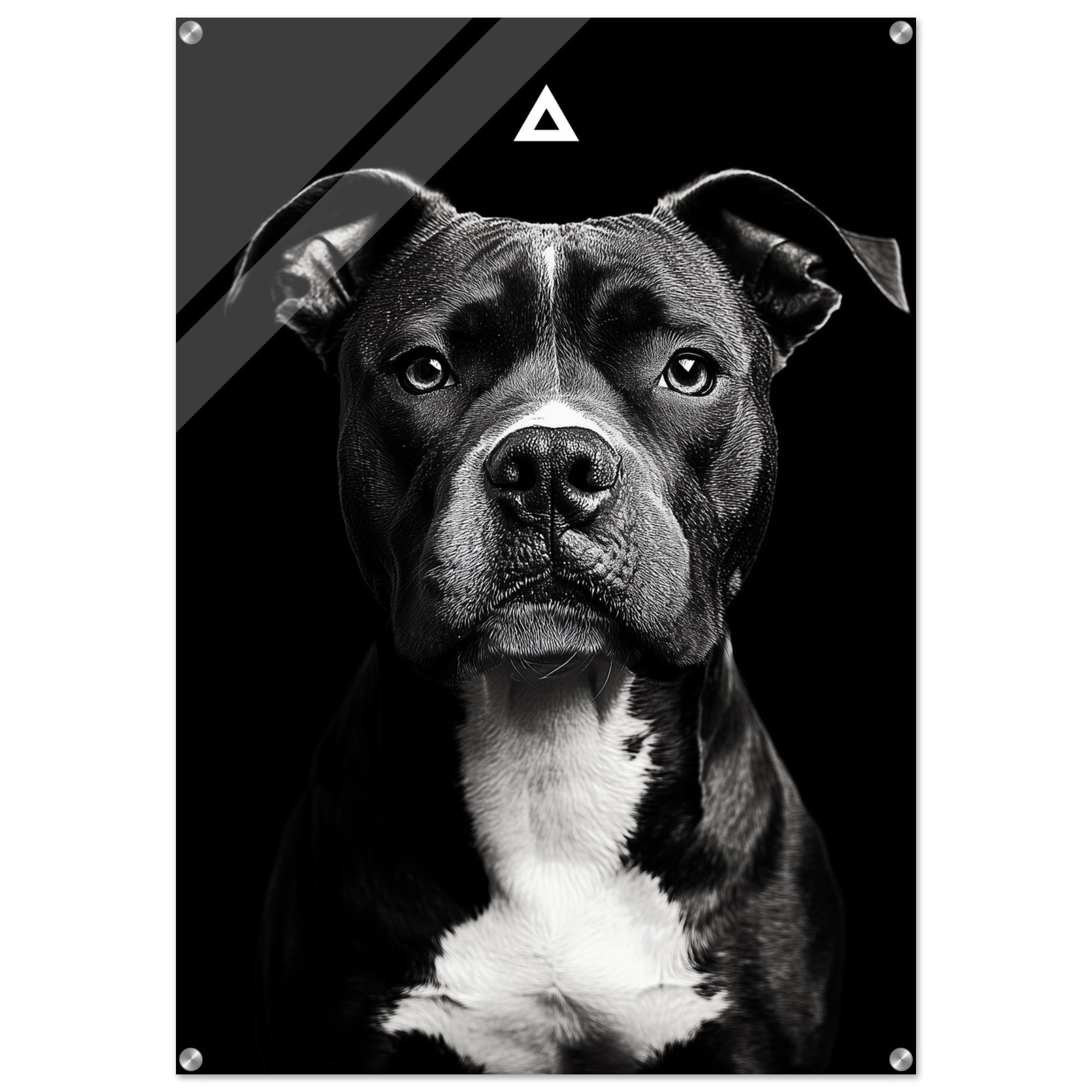 06c9ce63-f52f-43dc-b3dd-176bf222b269