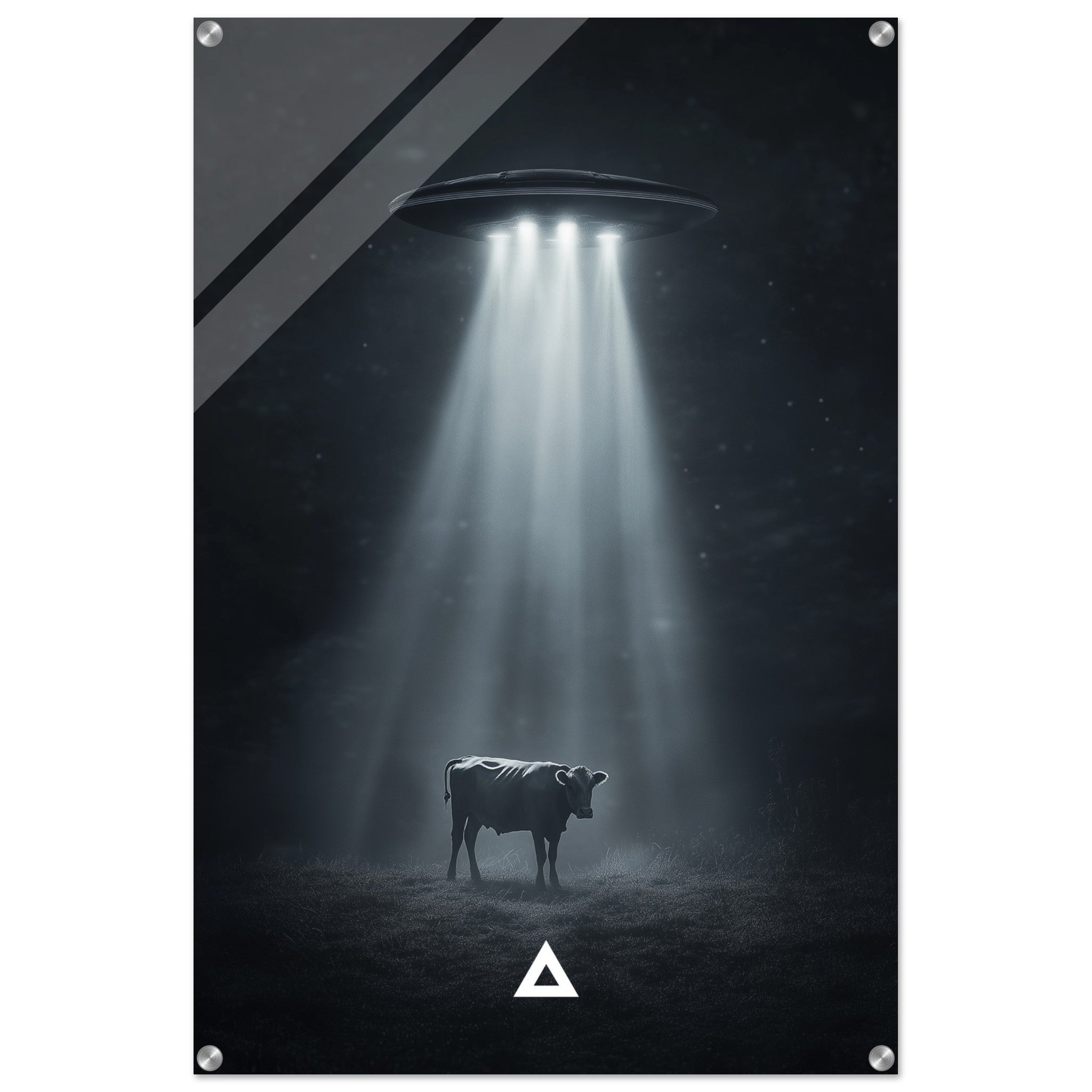 19cfe4f7-7fde-4a62-b73d-22d2b83b02af