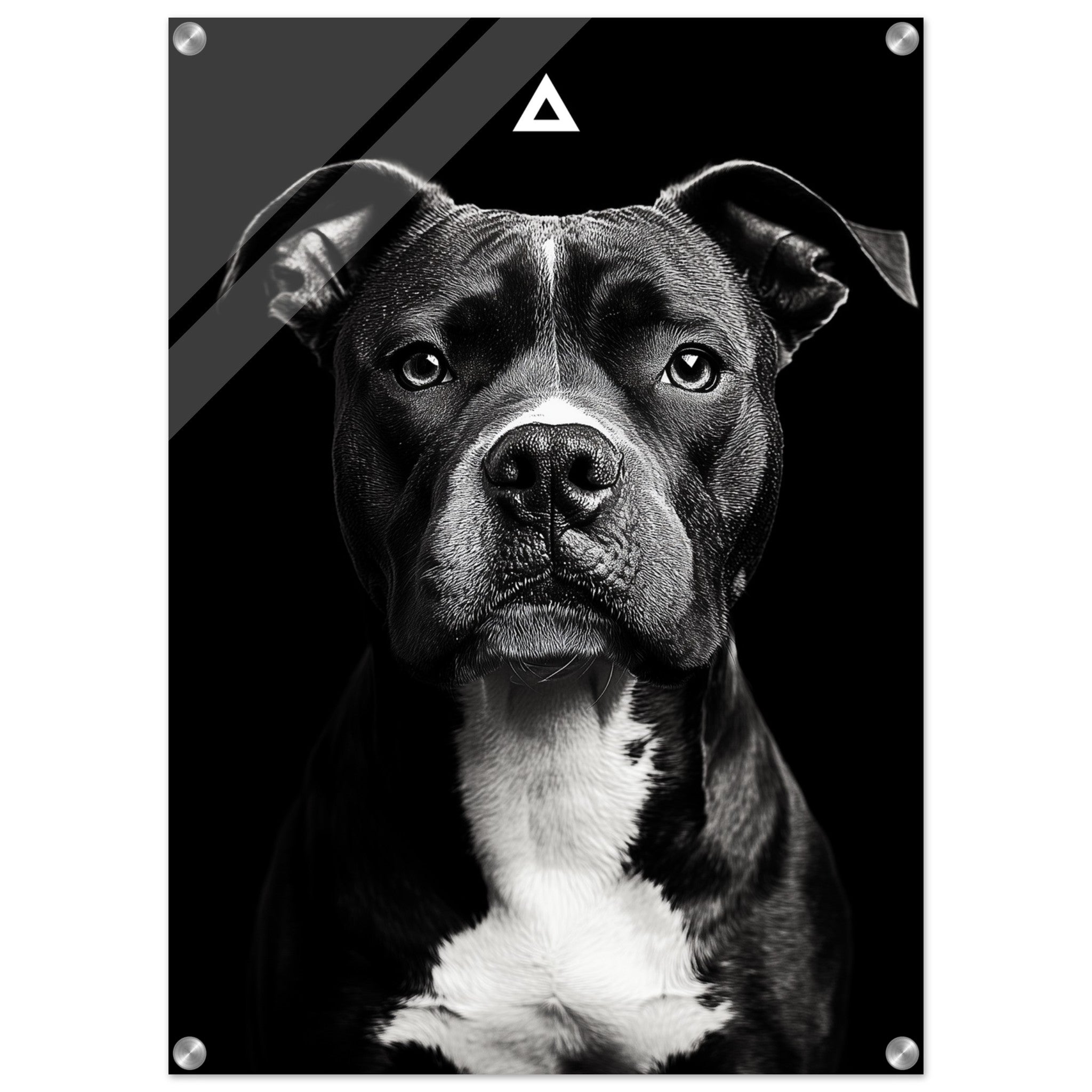 42aed48c-245d-4192-a78b-75579ae4fb26