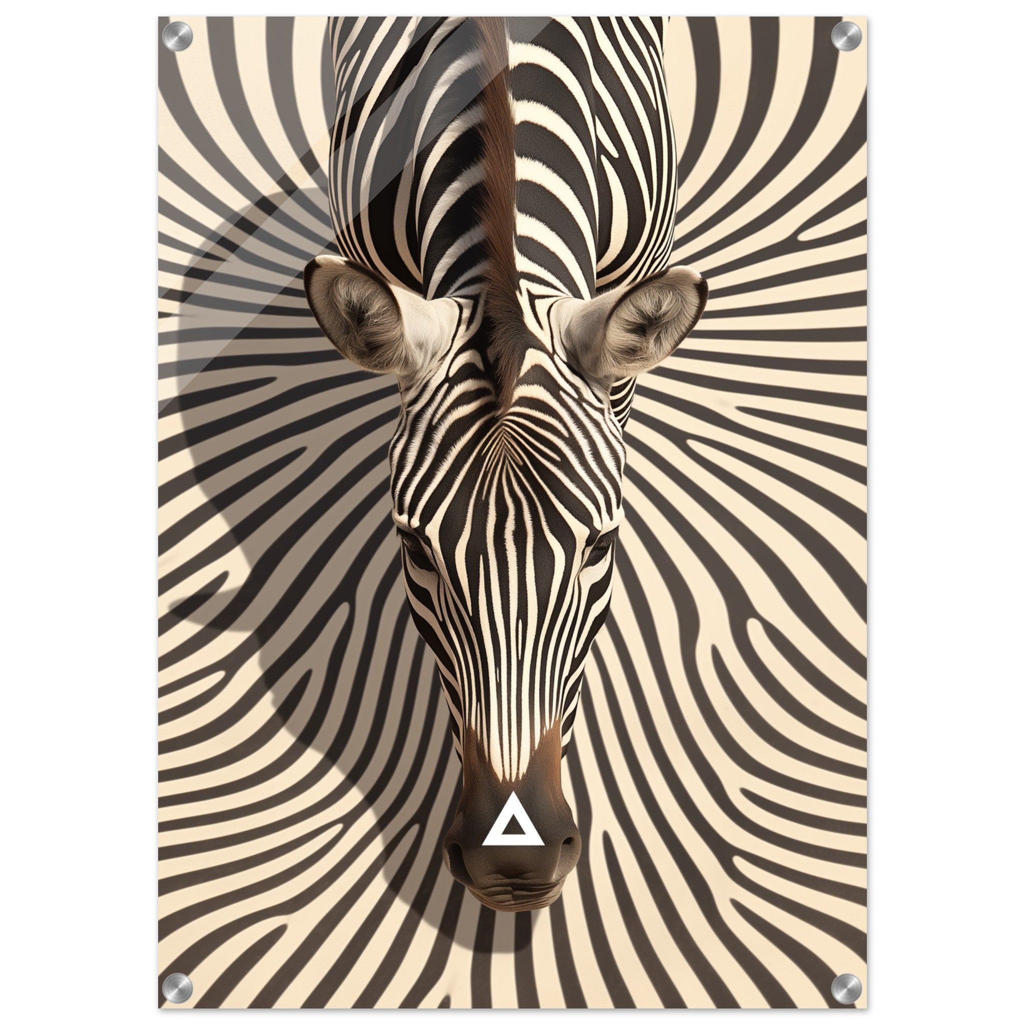 5ca597be-44f9-4daf-ba8e-078daaf21746