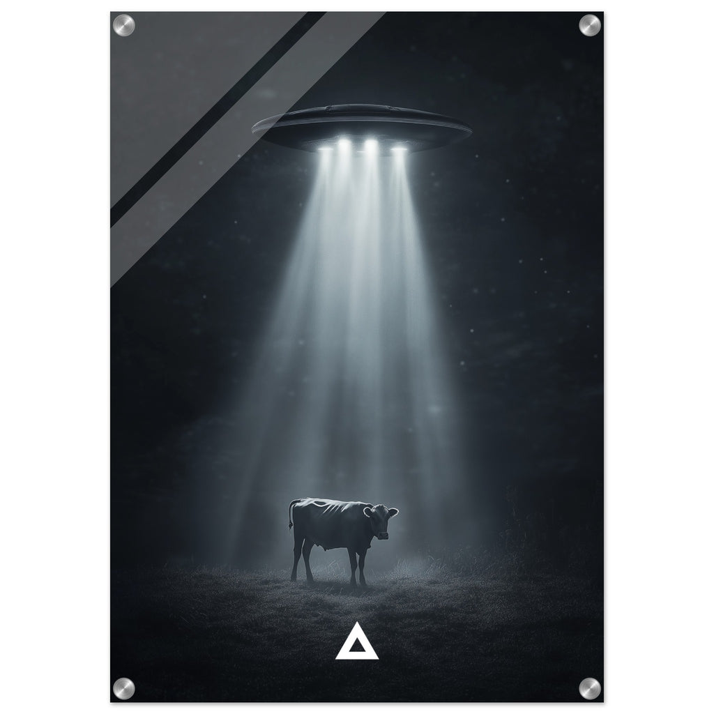 68c71cee-e5ca-4102-bc03-55837dd1f78d