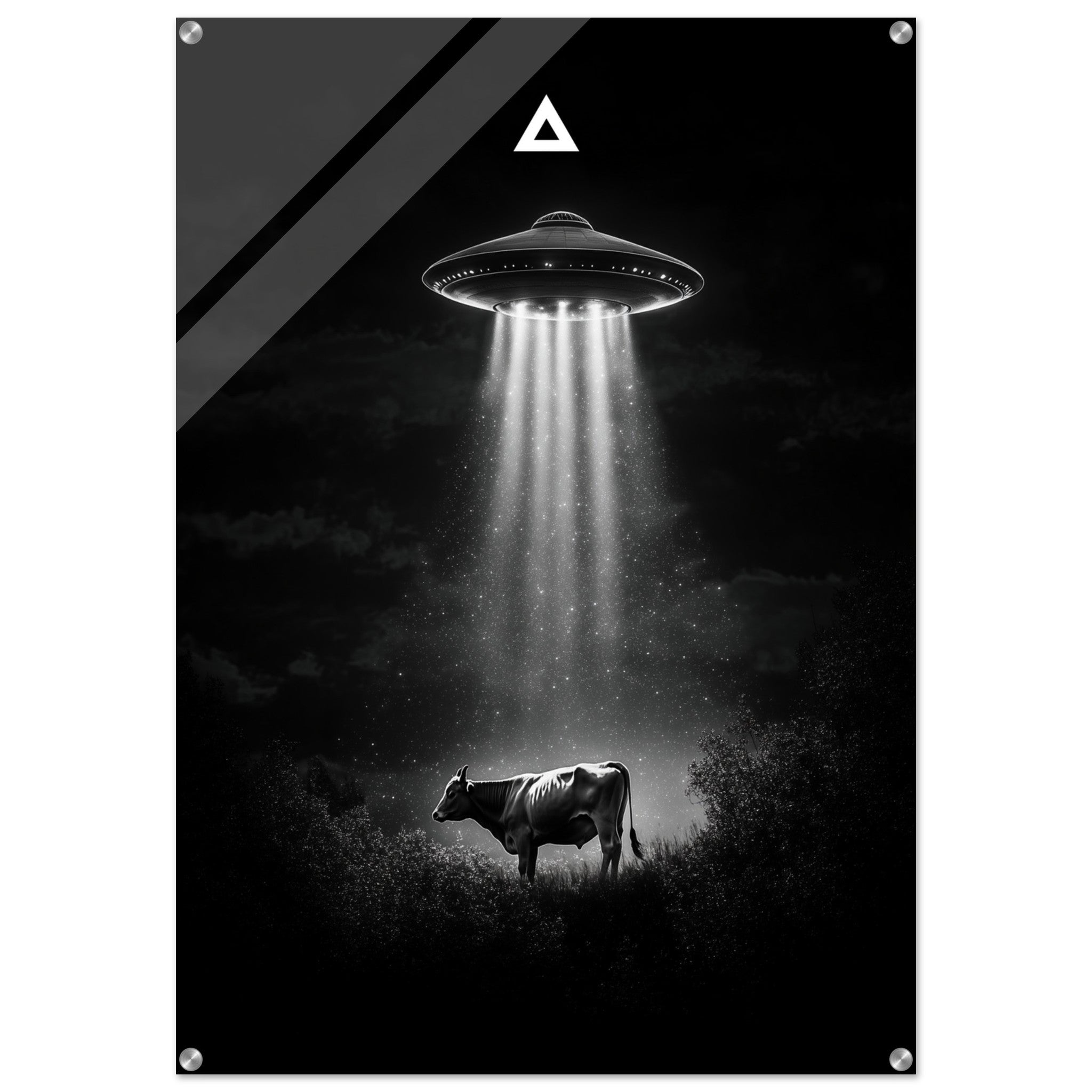 79741304-cdd4-4bc3-b079-06bb4c1c6a7c