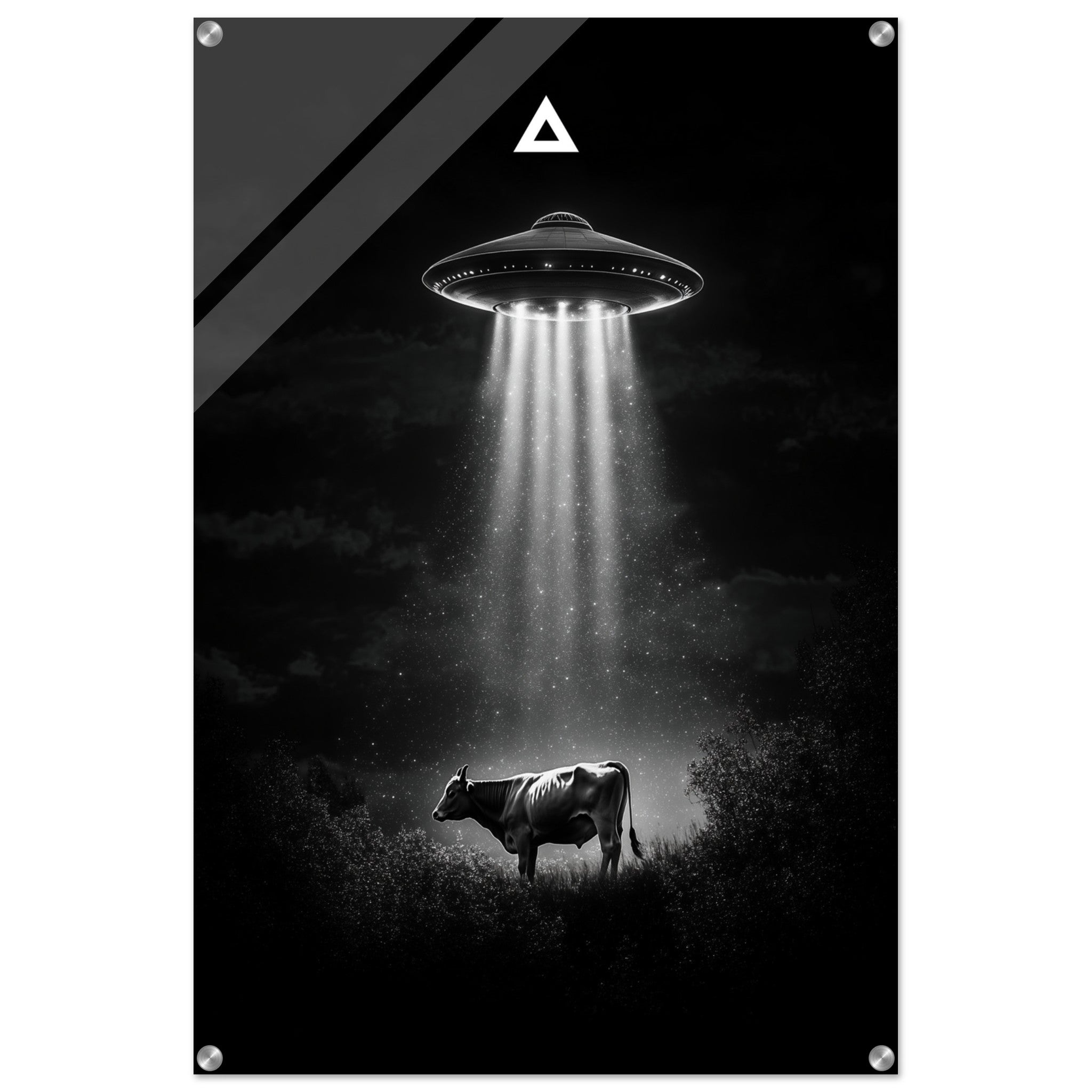 f4d79504-f48e-4fb8-a4d4-072e5607354d